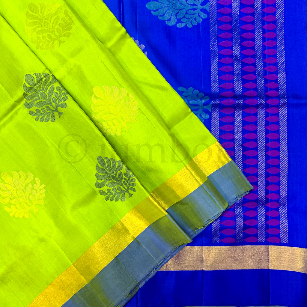Kanchipuram Pure Silk Handloom Soft Silk Saree in Parrot green and Blue border