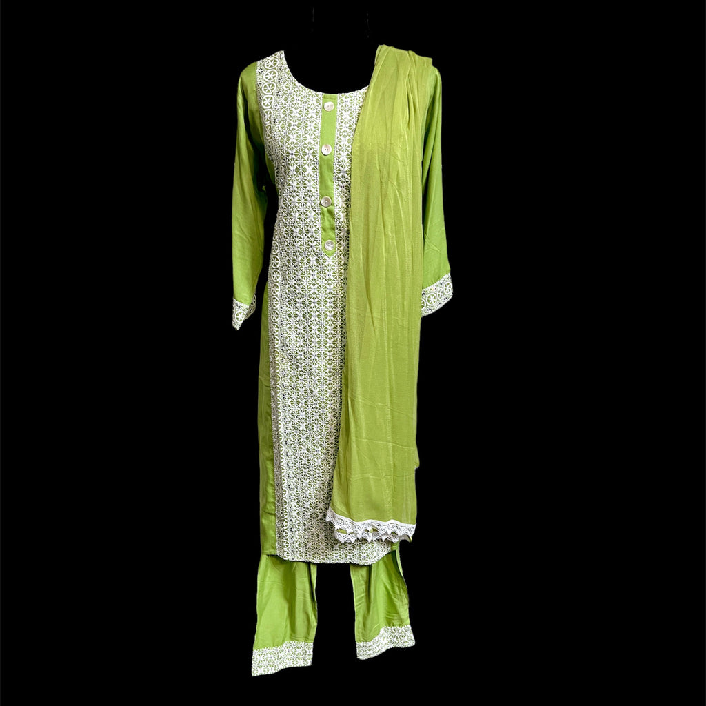 Light Green Embroidery Work Dress Suit Set